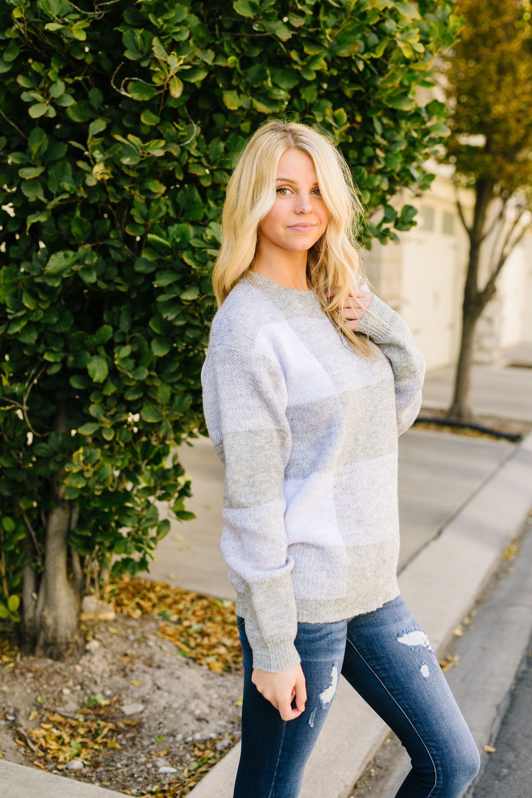 Large And In Charge Plaid Pullover