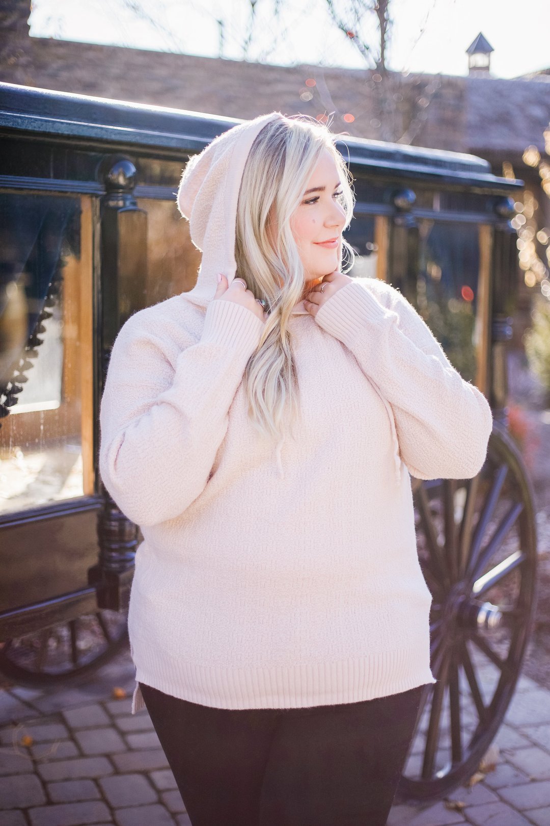 Snow Flurries Hoodie In Cream
