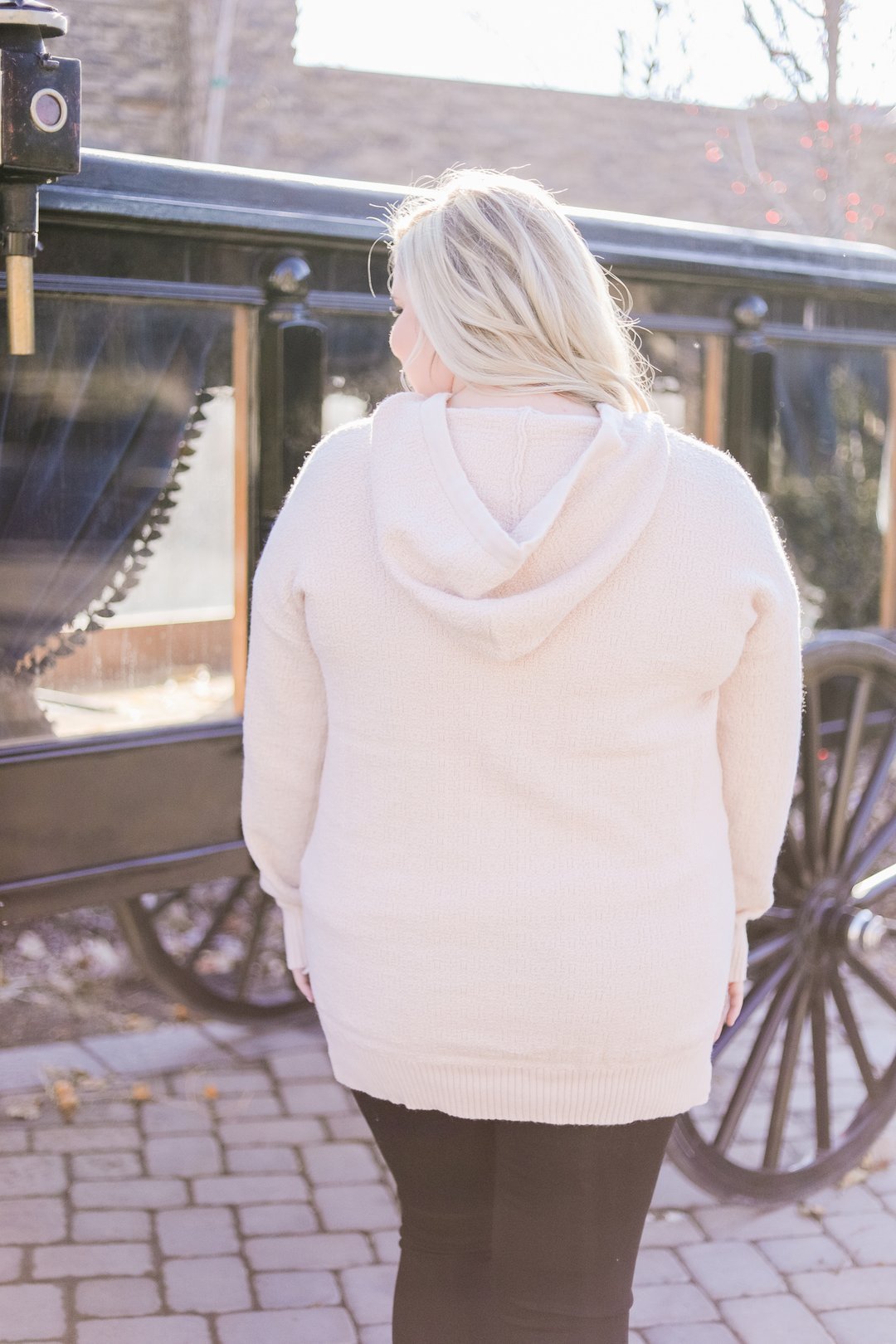 Snow Flurries Hoodie In Cream