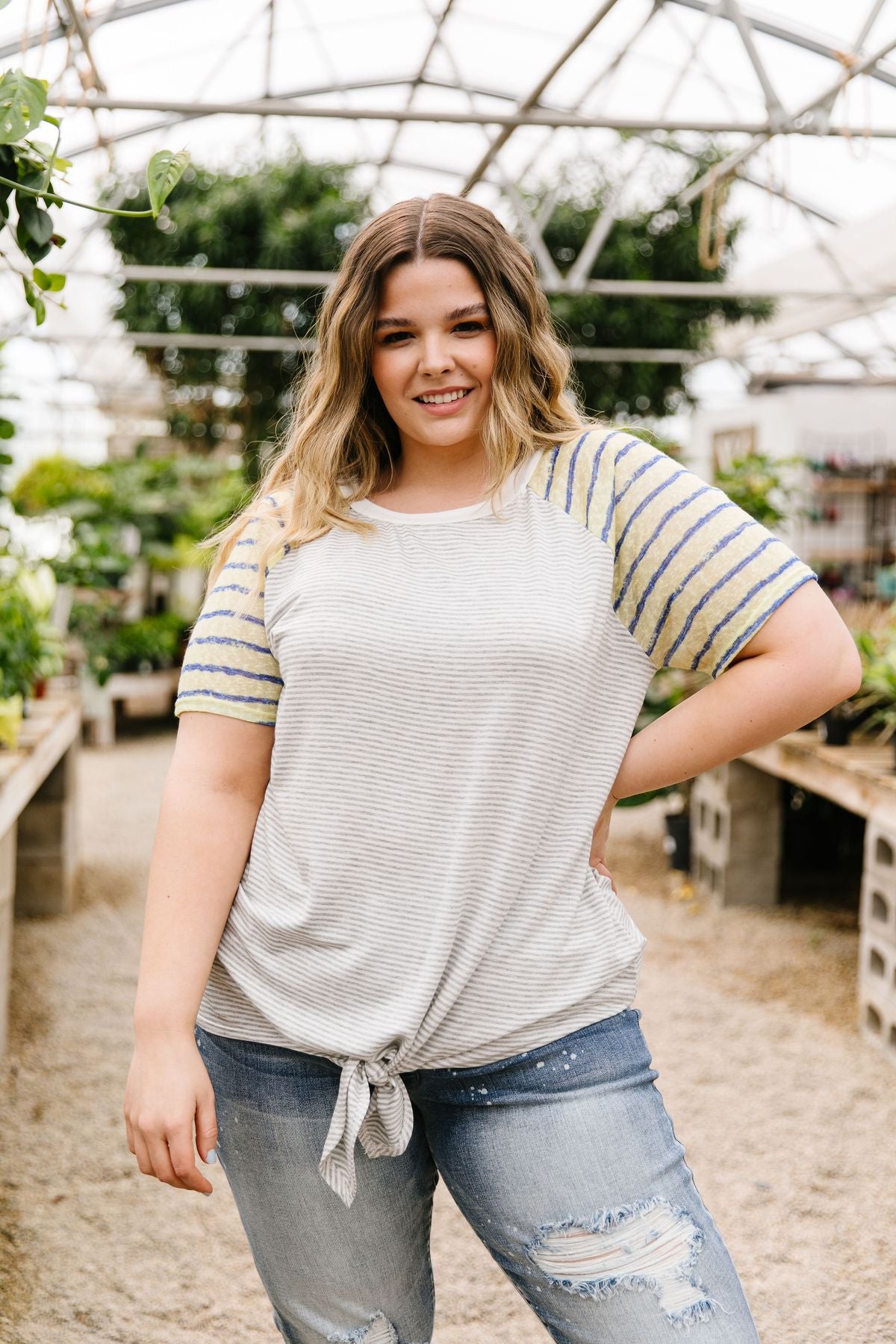Raglan Stripes Tie Front Tee In Pale Yellow