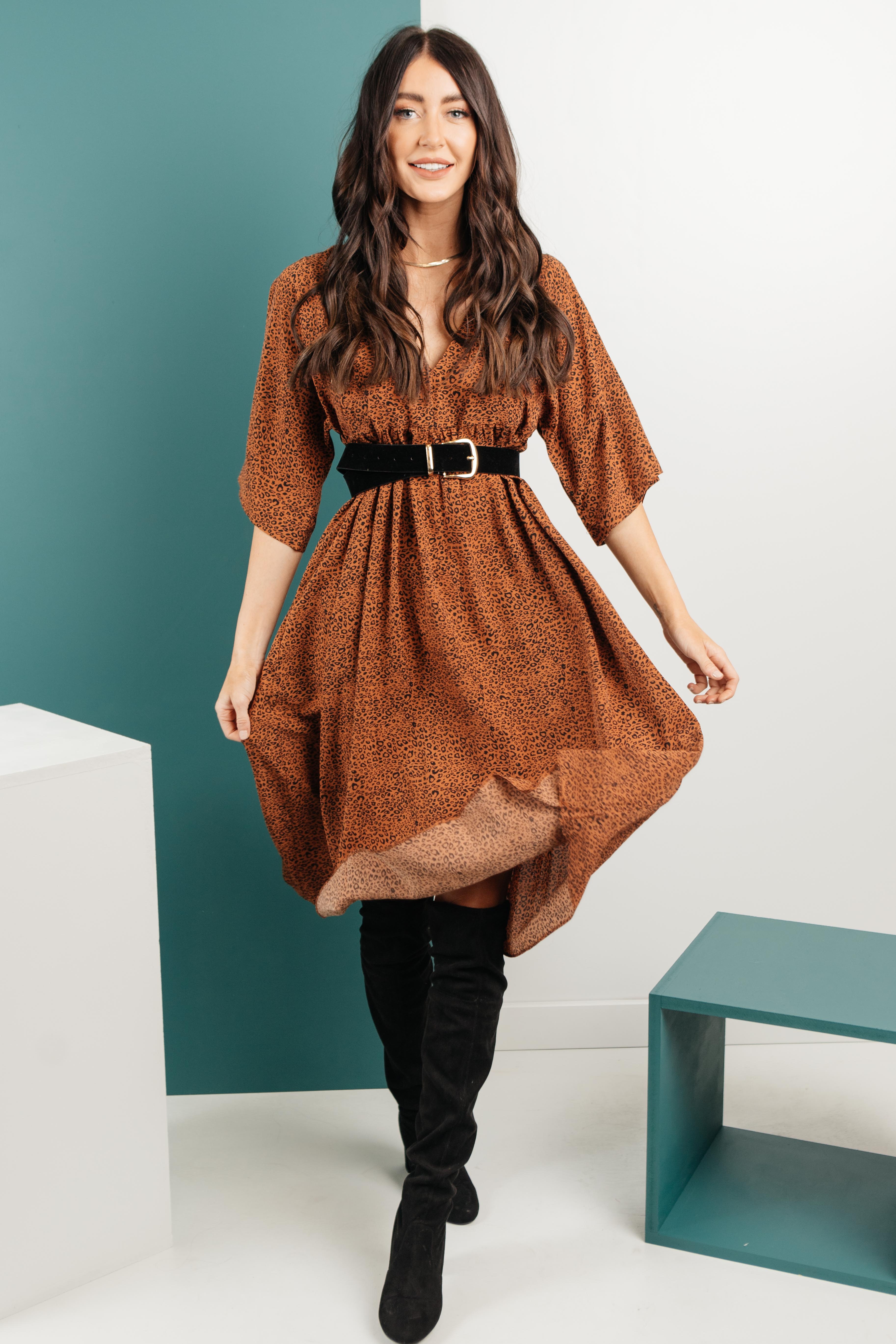 The Vienna Spotted Dress