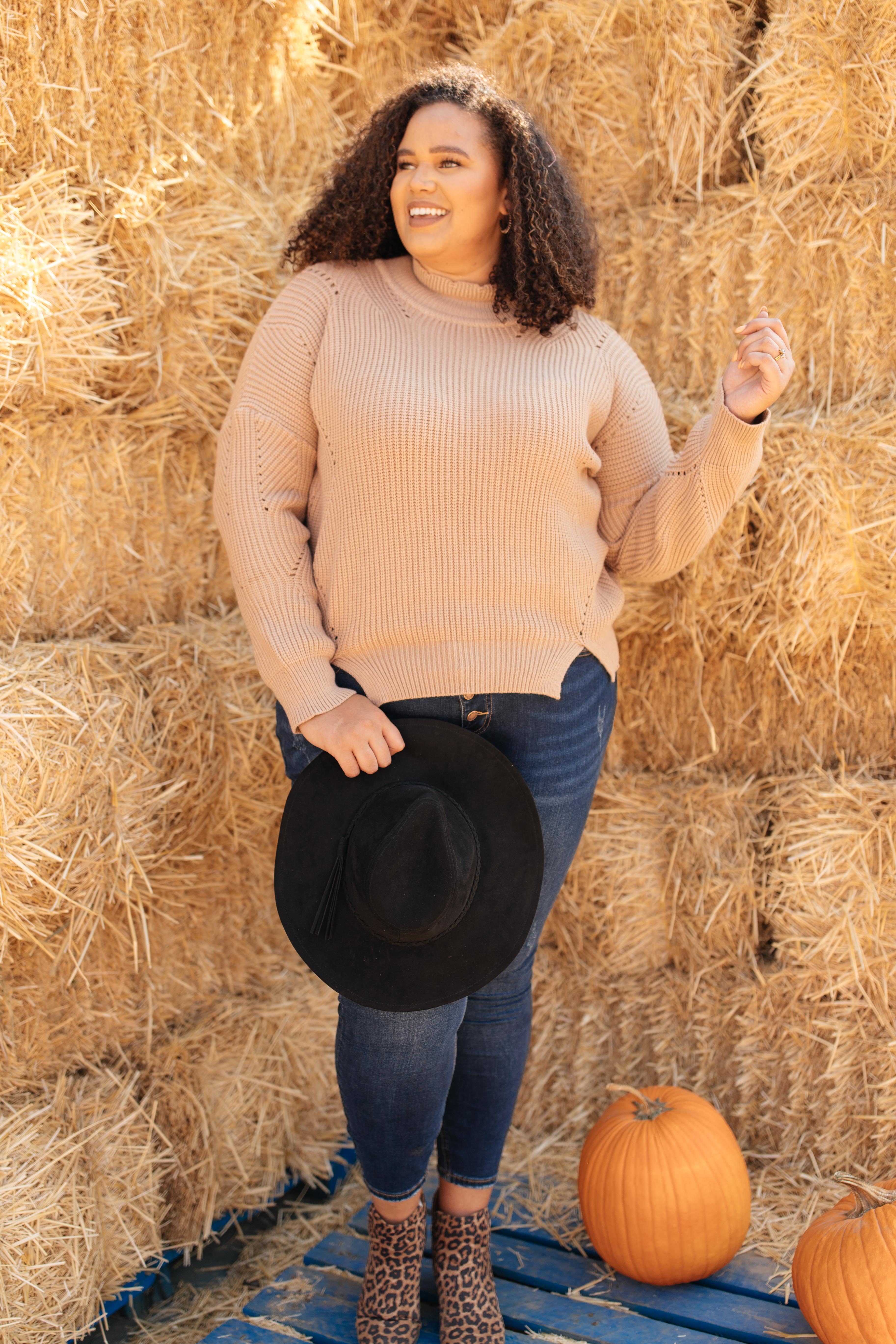 The Clara Turtle Neck Top in Taupe