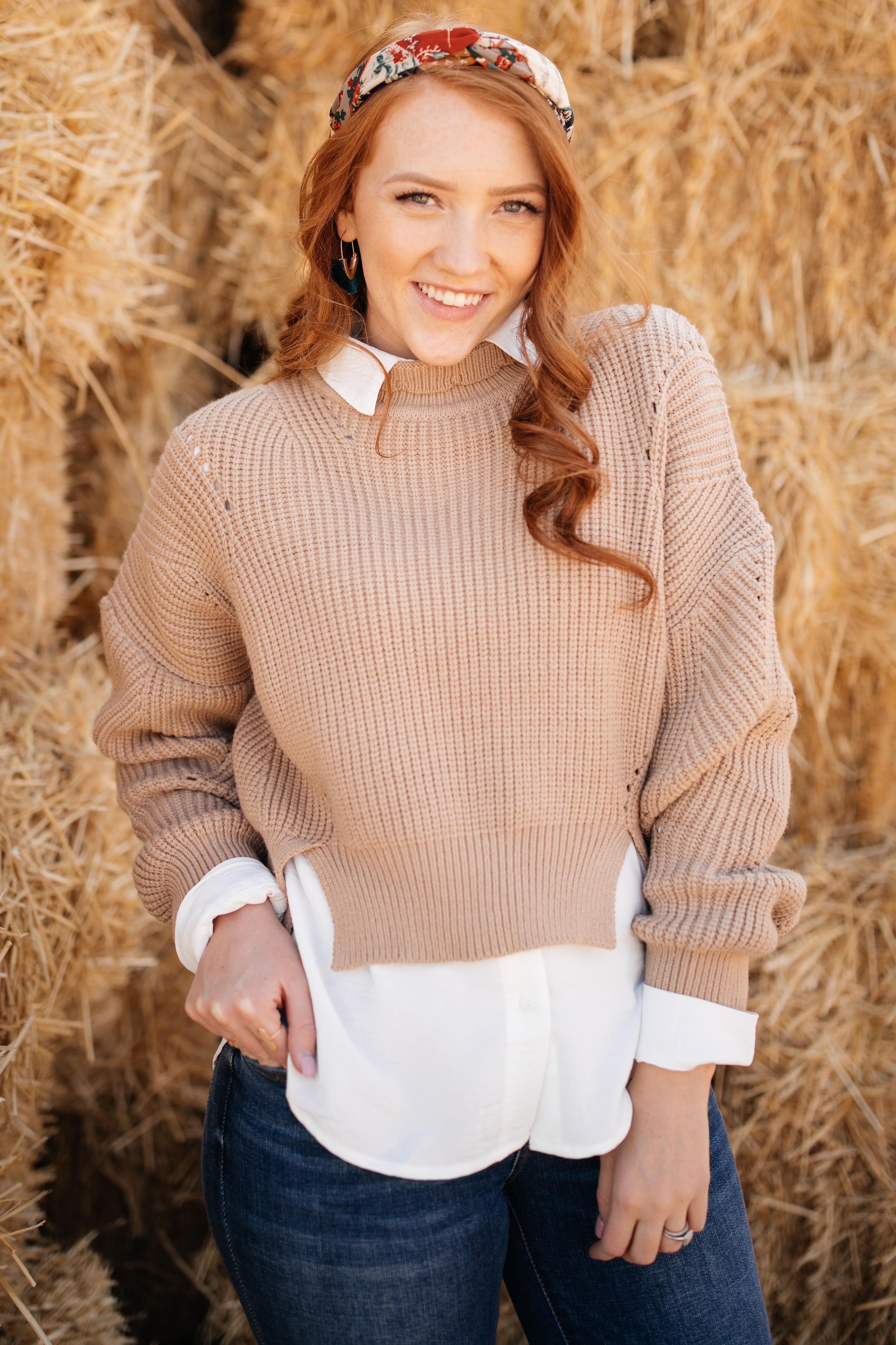 The Clara Turtle Neck Top in Taupe