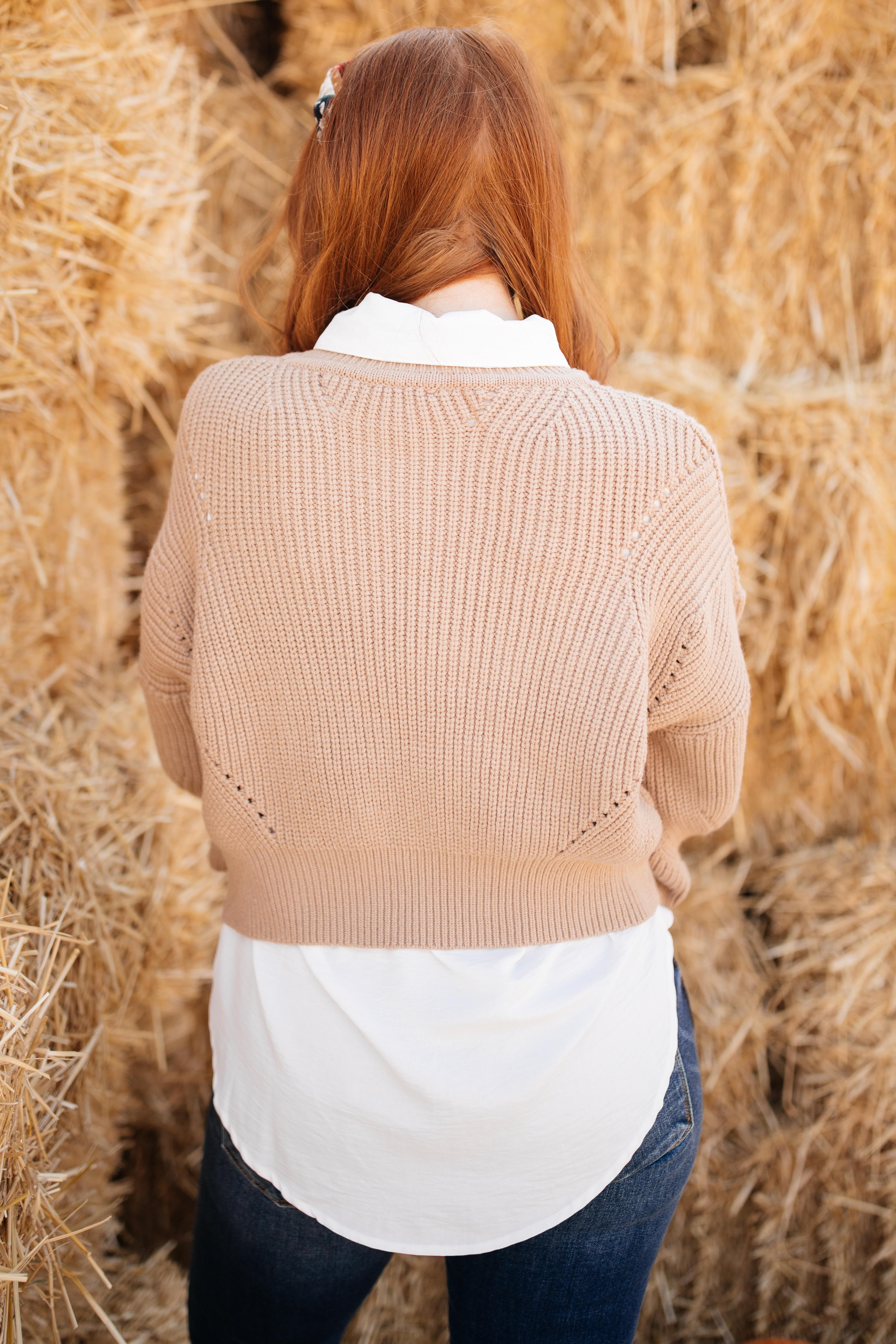The Clara Turtle Neck Top in Taupe
