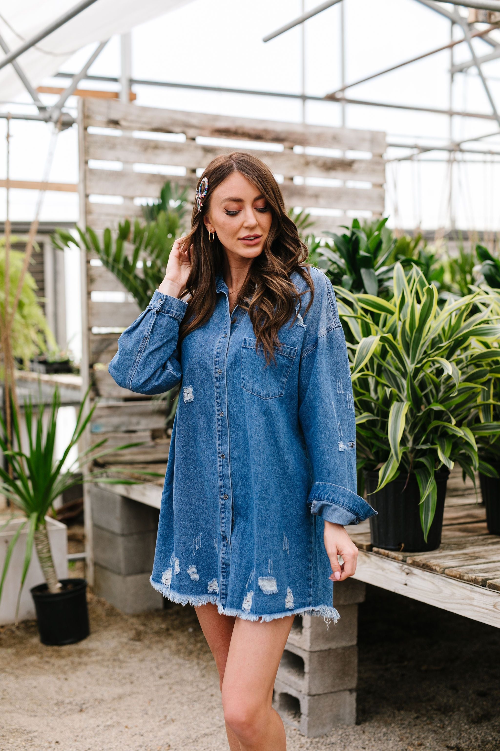 Artist's Loft Denim Button Down