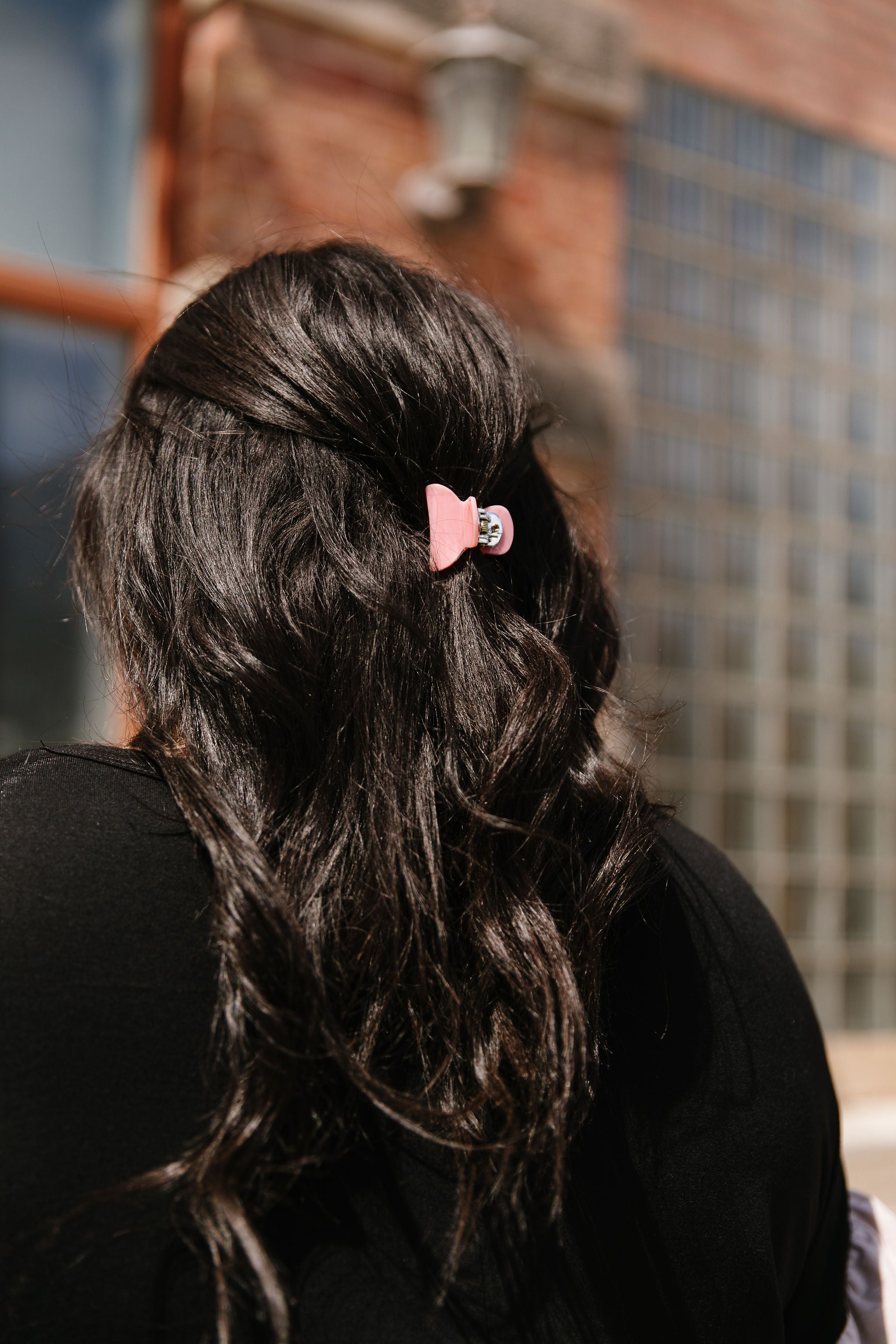 Eclipse Hair Clips Set