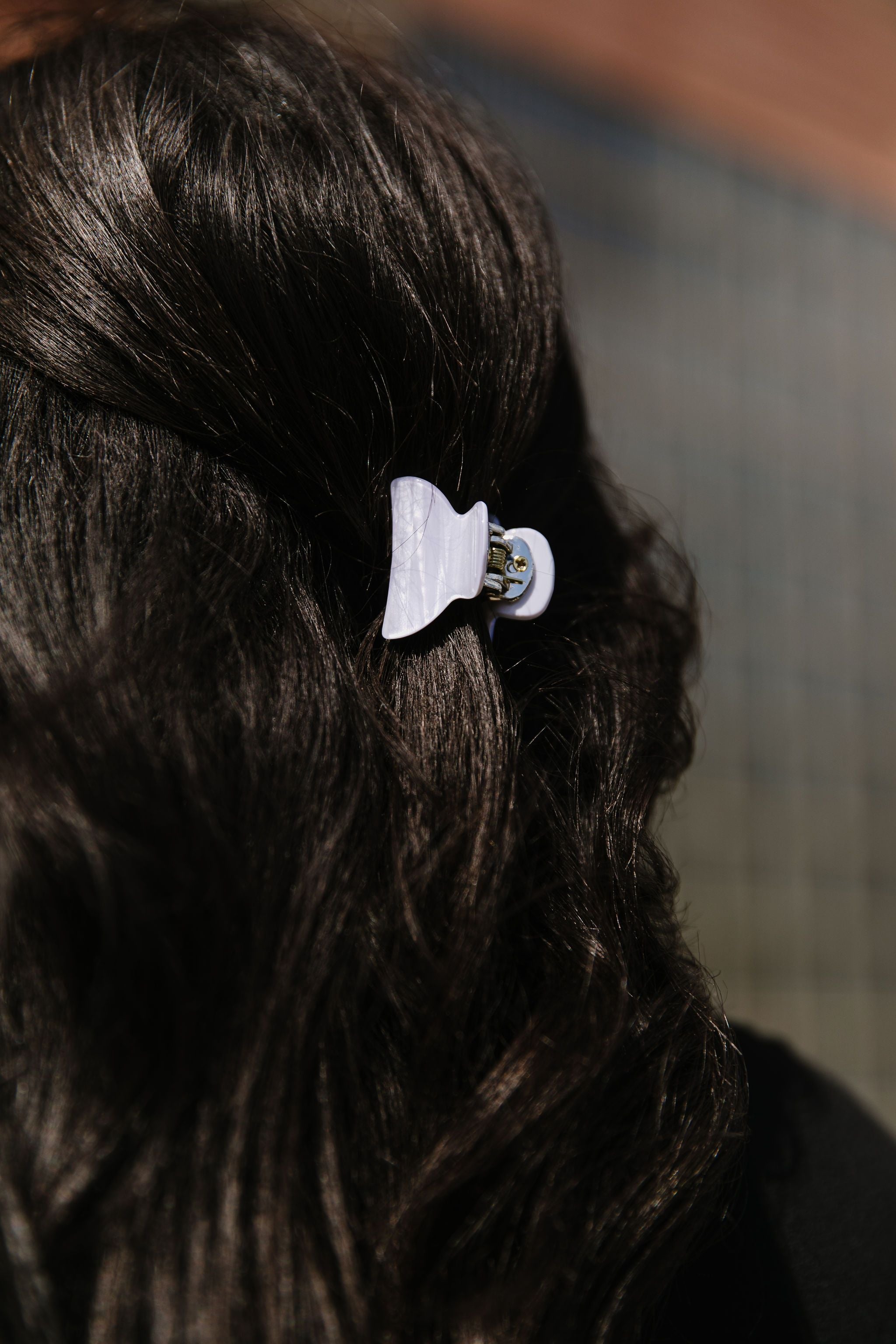 Eclipse Hair Clips Set