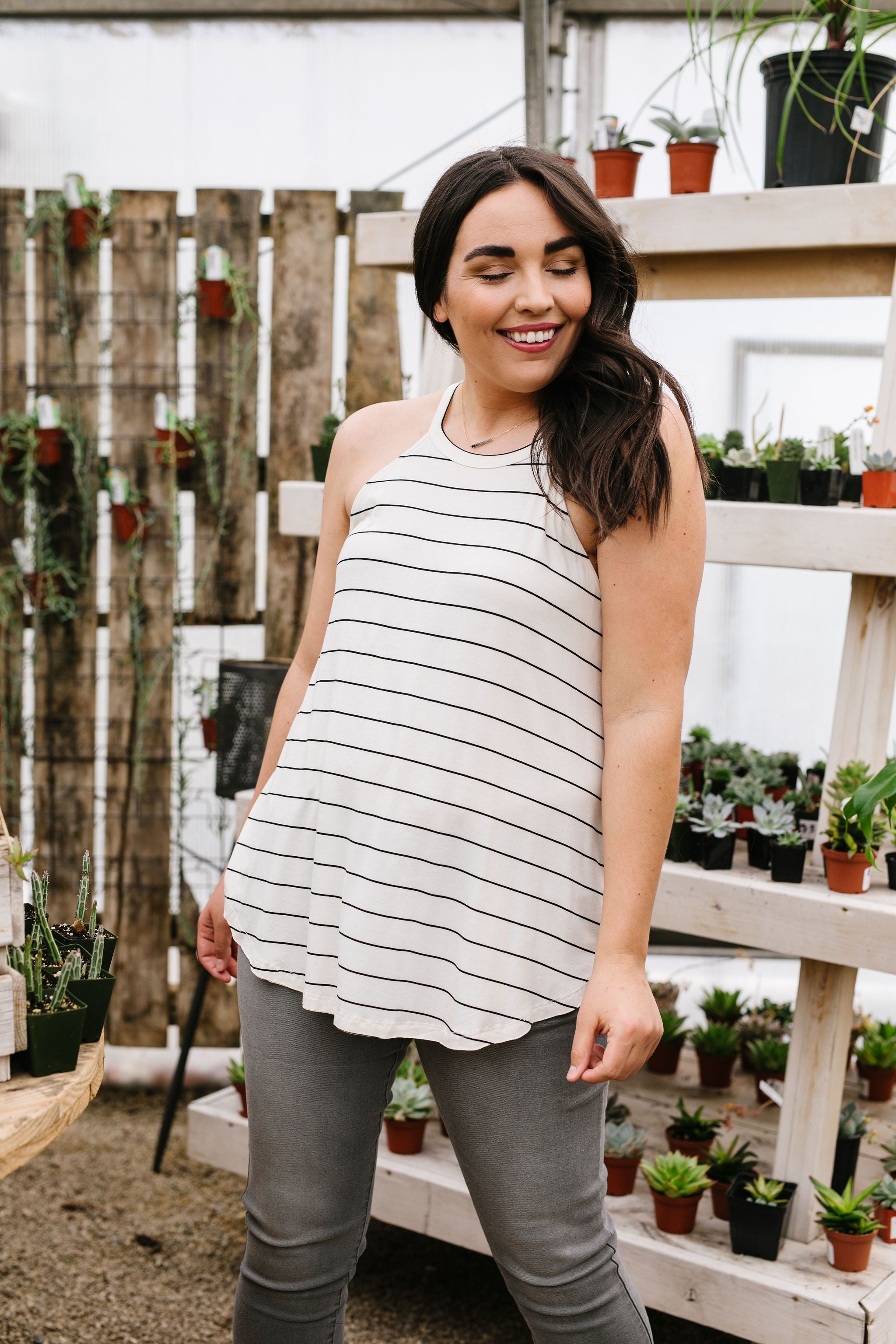 Great White Halter With Black Stripes