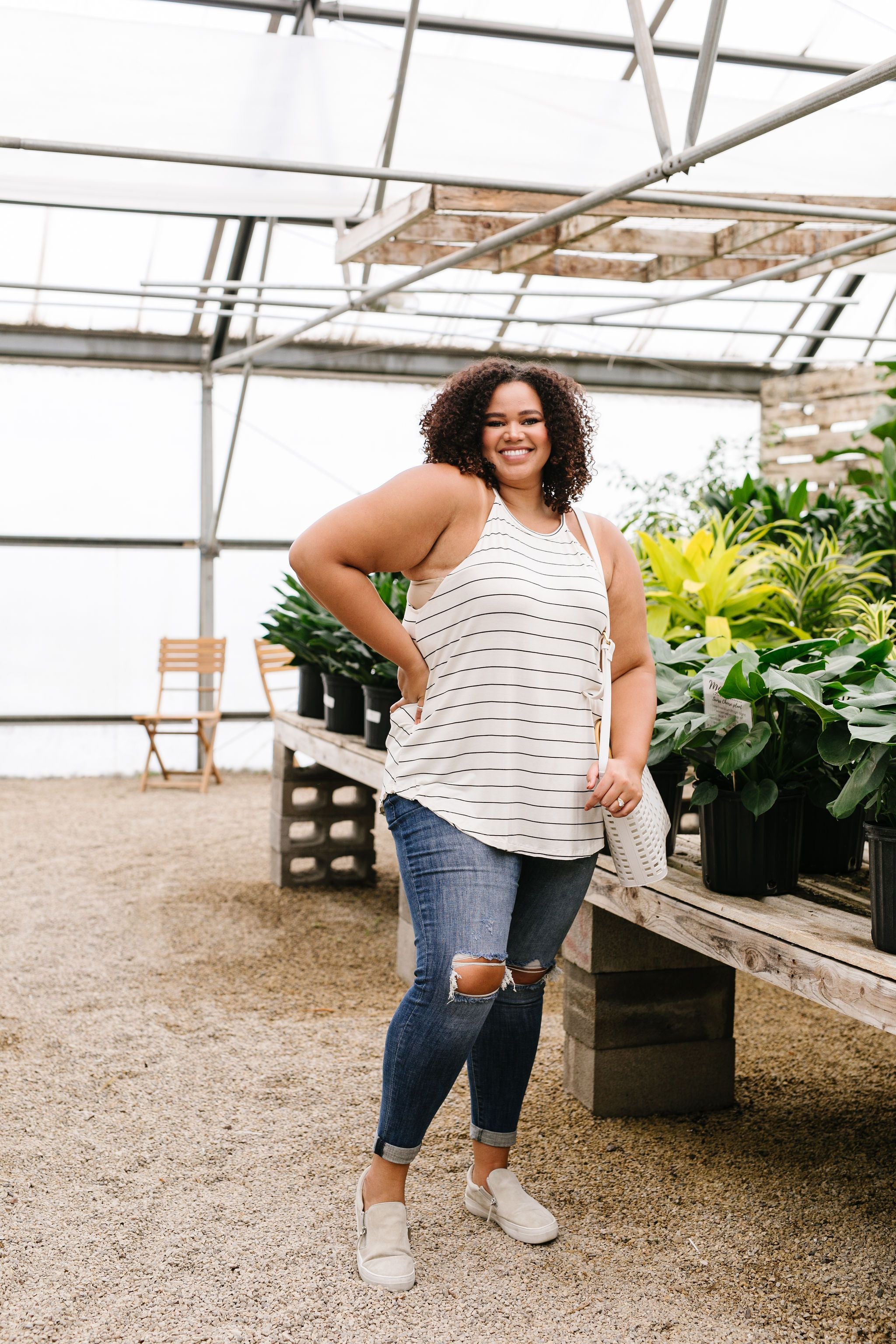 Great White Halter With Black Stripes