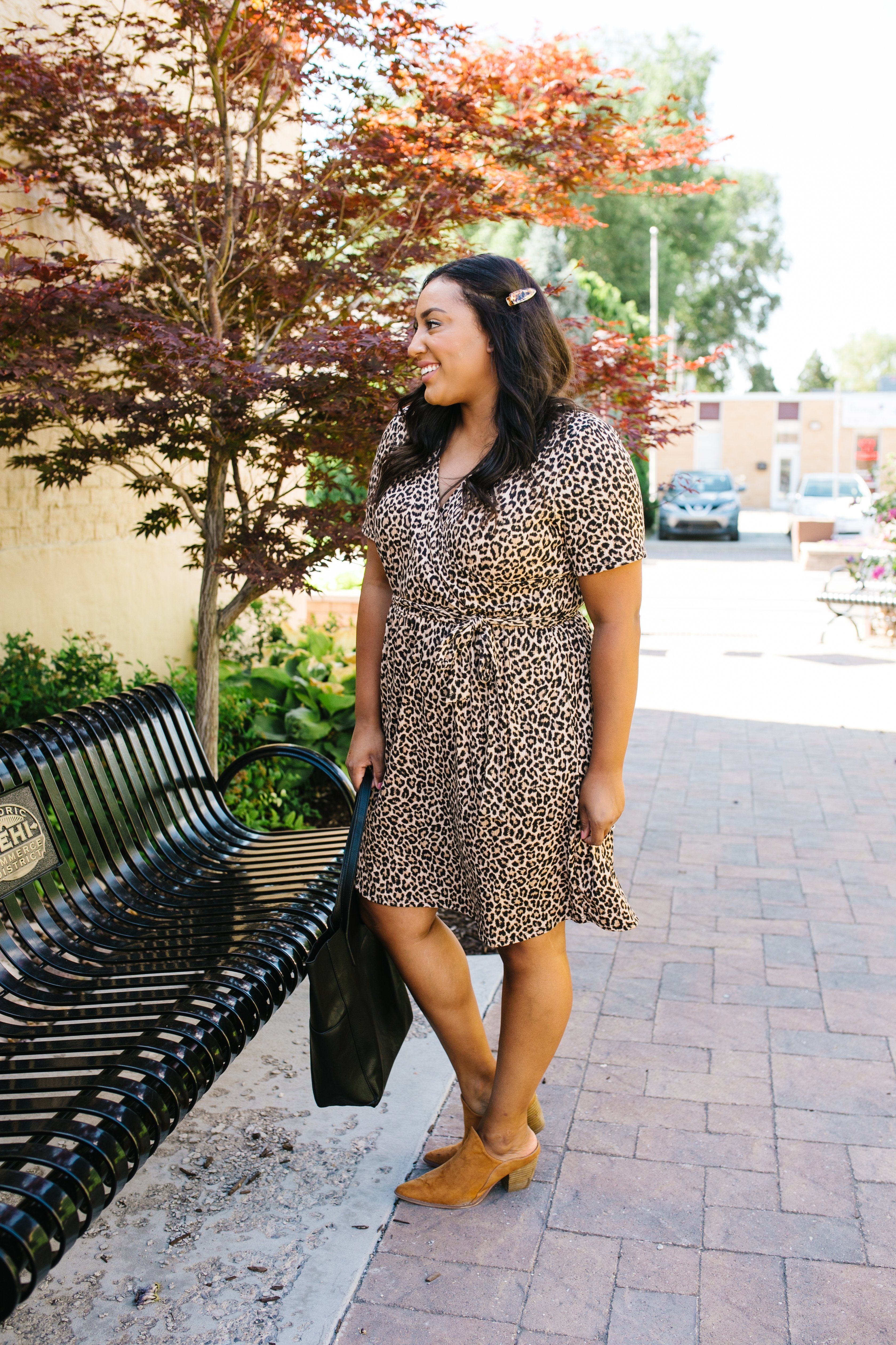 Hot Spot Leopard Print Dress