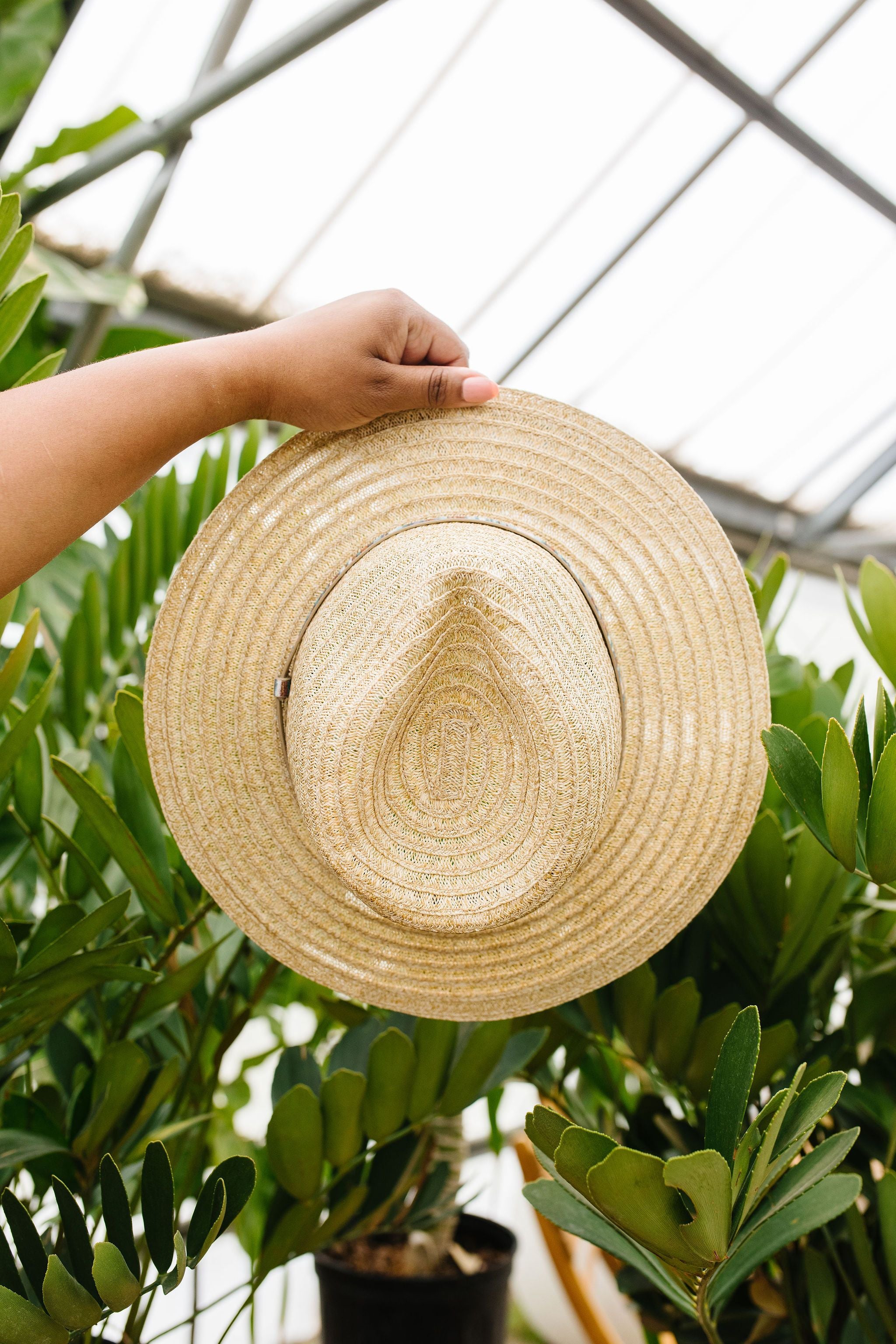 Panama Jacklyn Hat