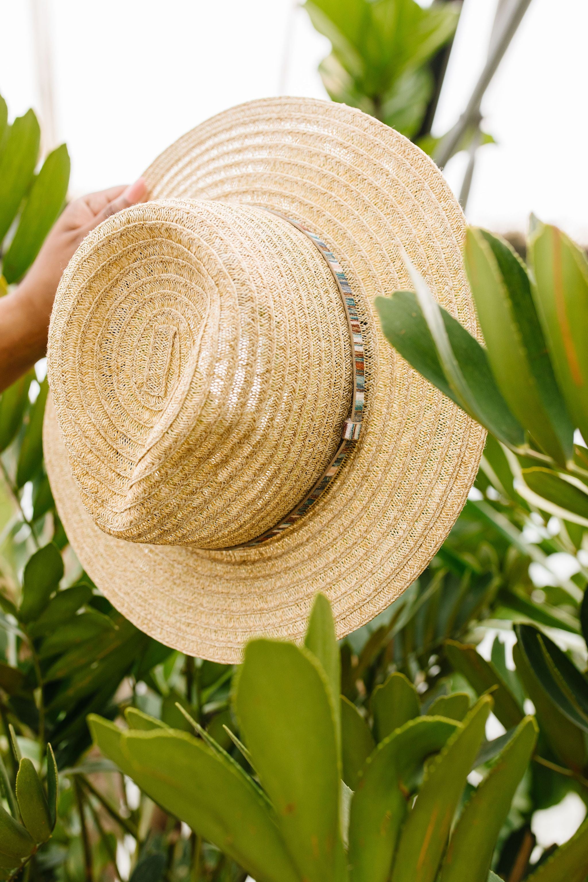 Panama Jacklyn Hat