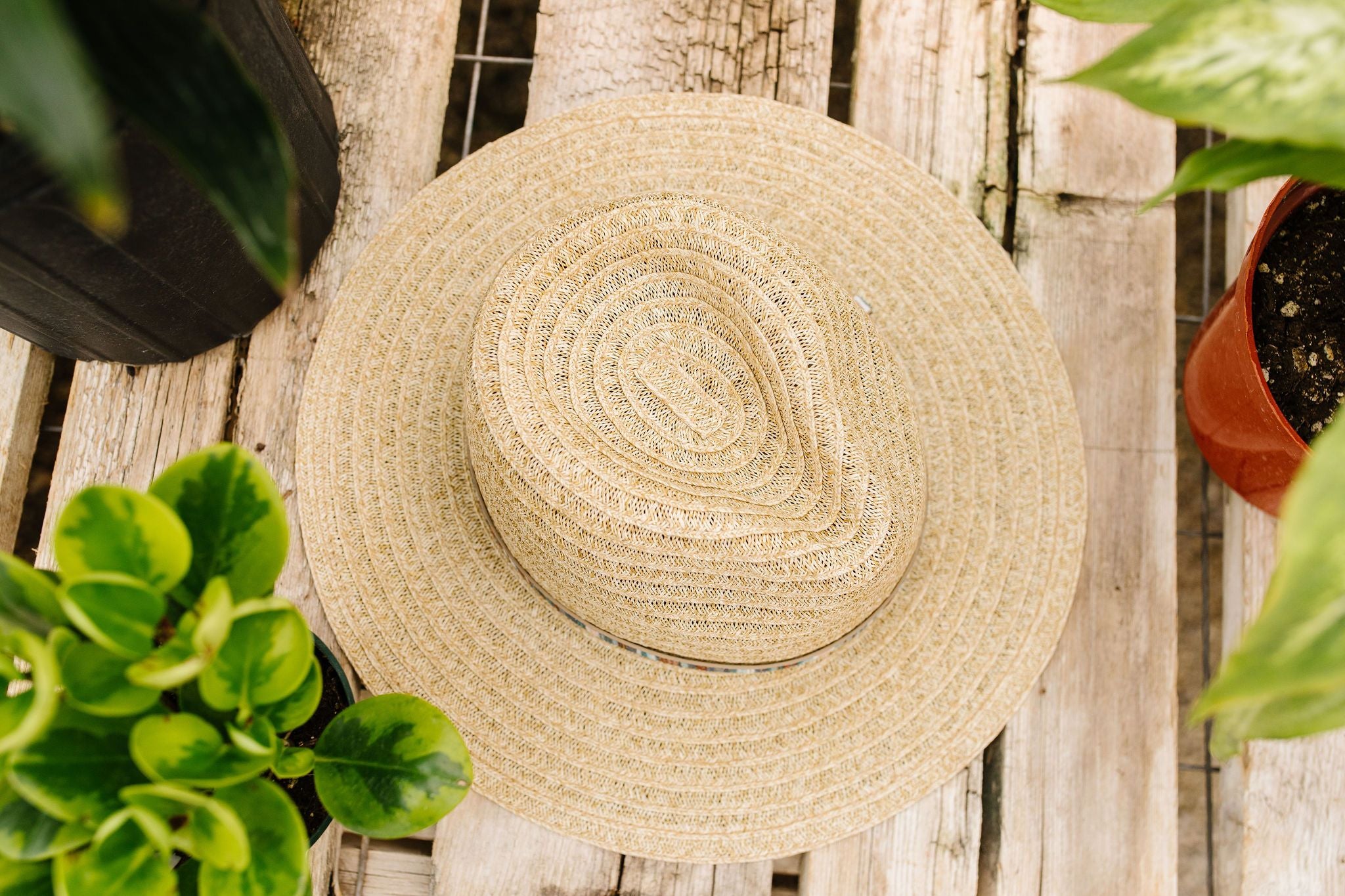 Panama Jacklyn Hat