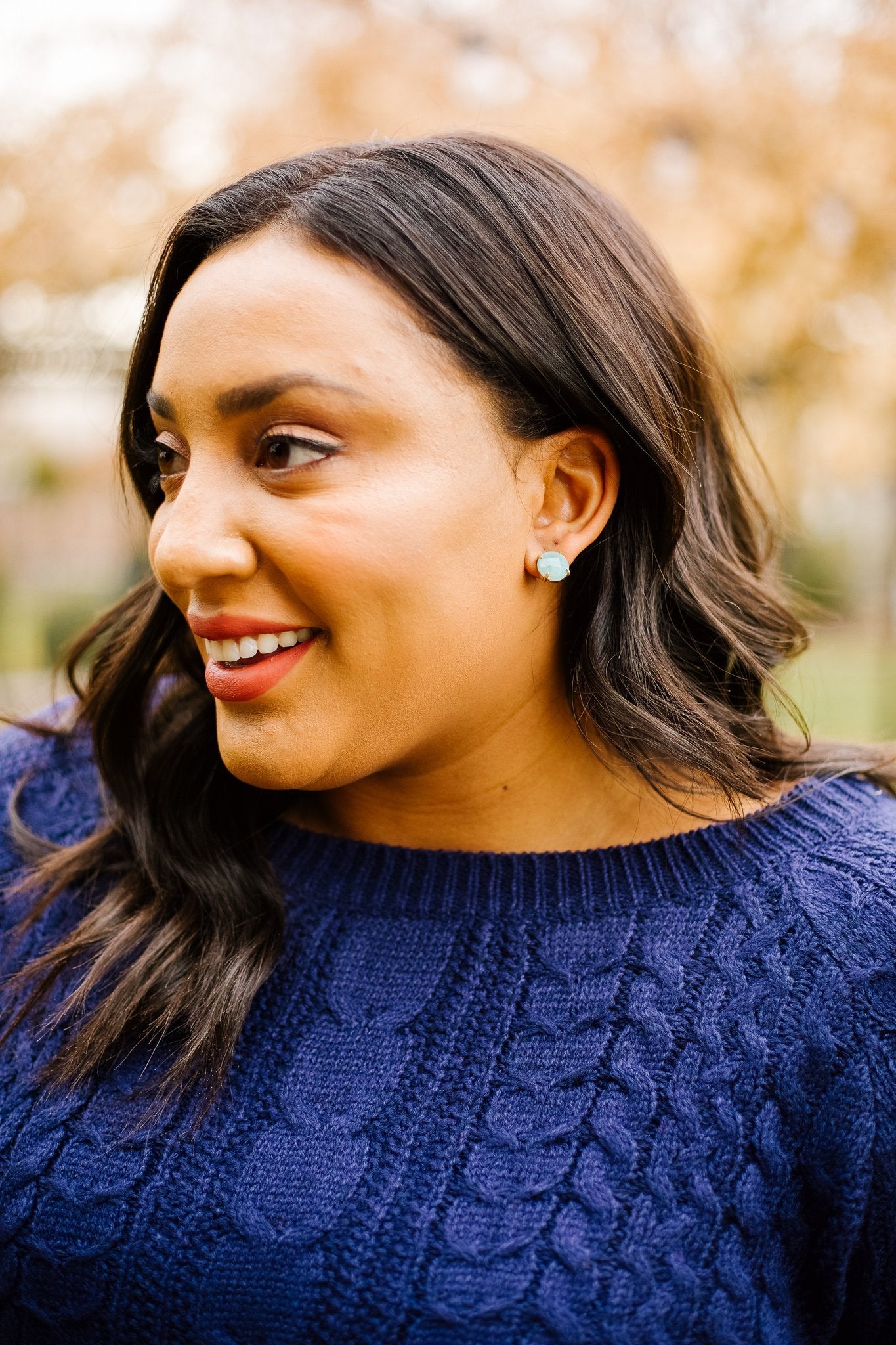 Stone Cold Earrings In Amazonite