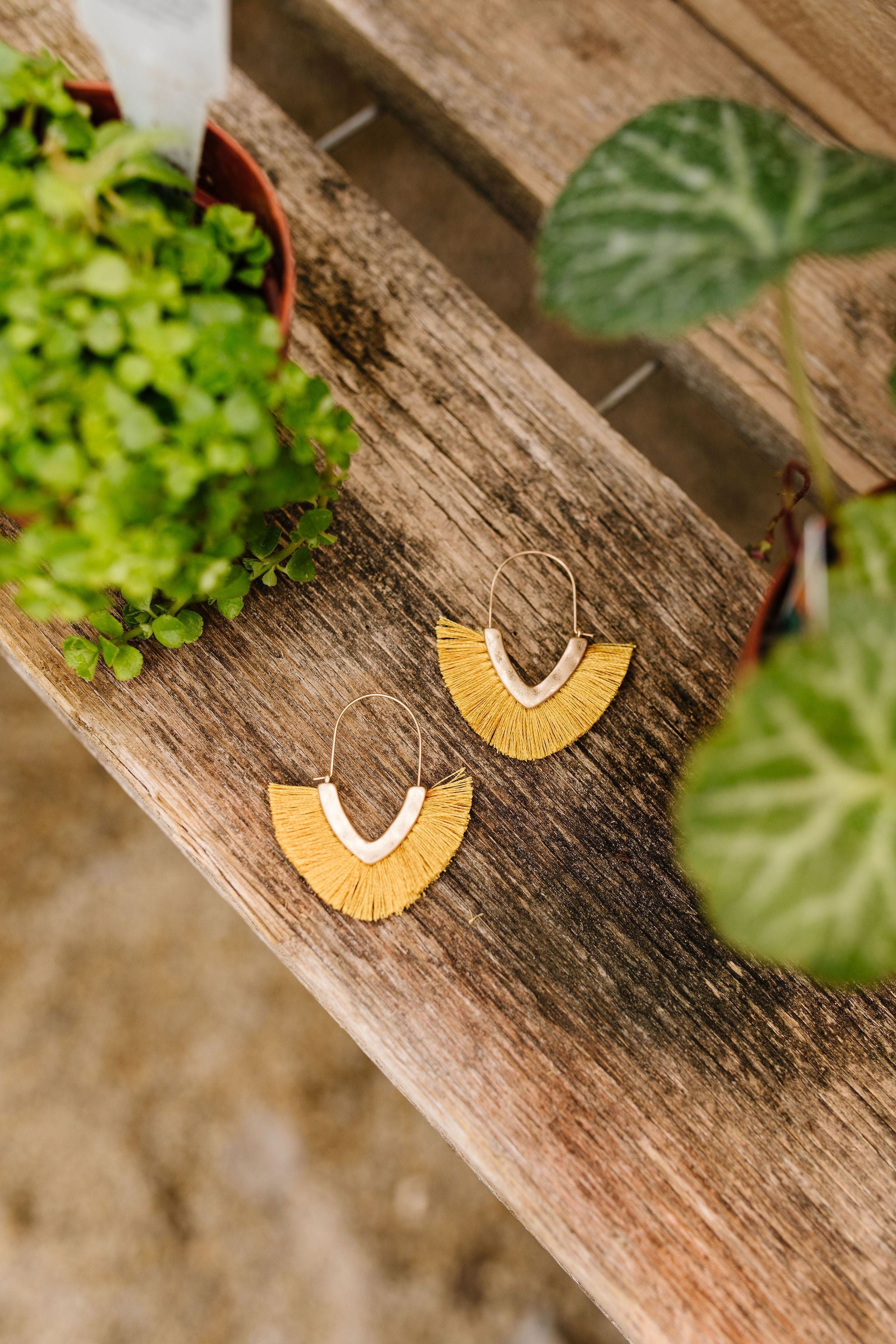 Tasseled V Earrings In Honey