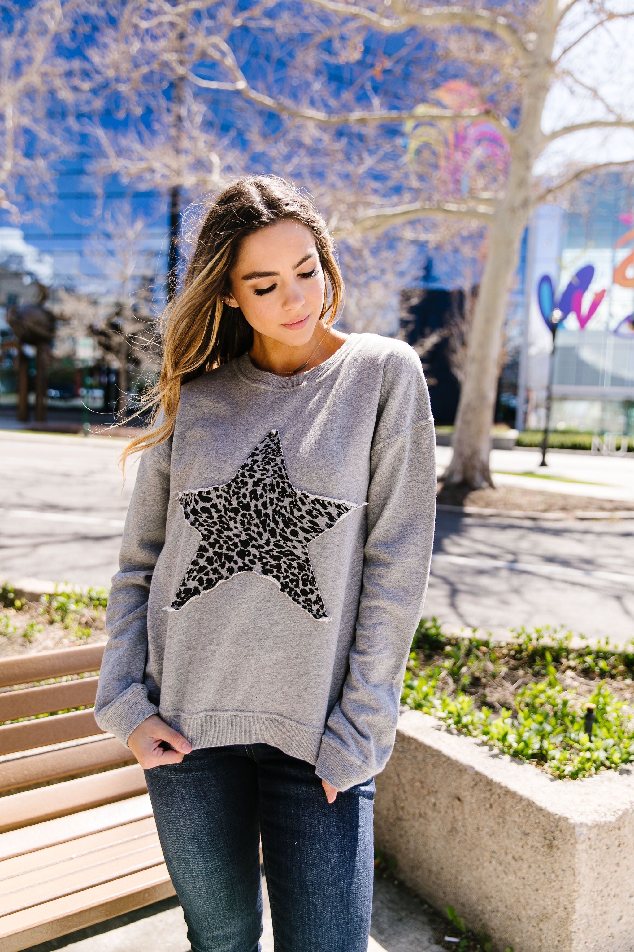 Wild Star Sweatshirt