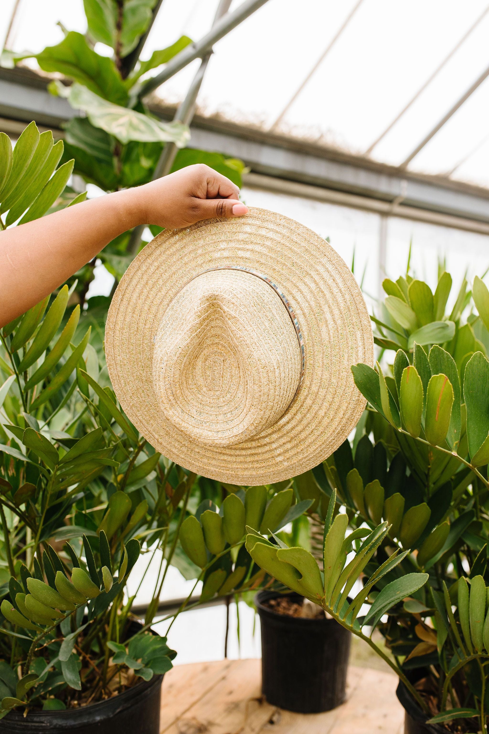 Panama Jacklyn Hat