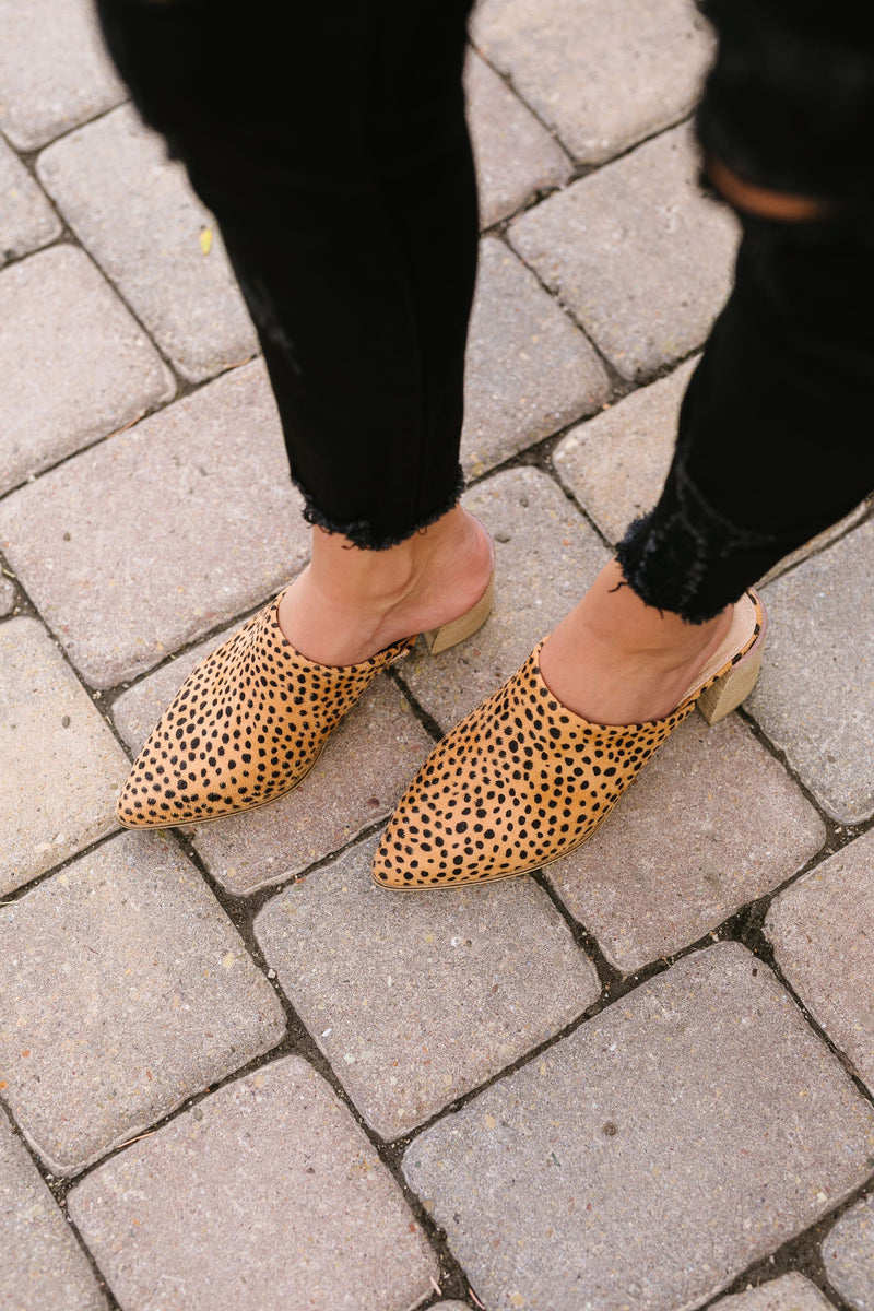 Spotted Cheetah Mules