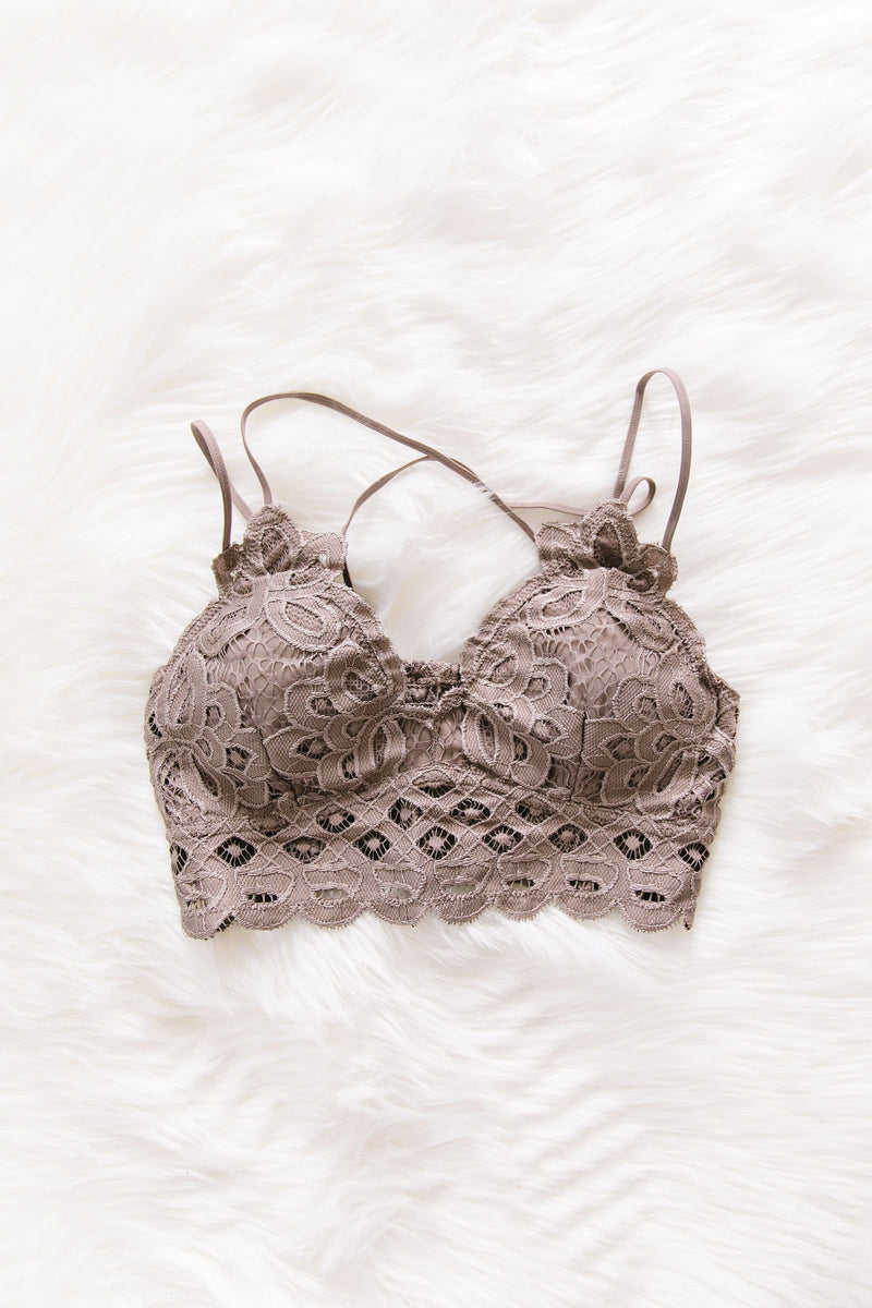 XOXO Scalloped Lace Bralette In Cocoa